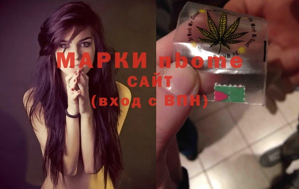 ешки Болотное