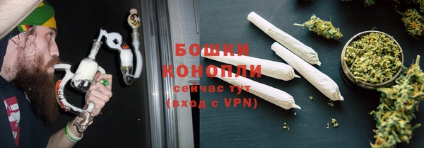крисы Болохово