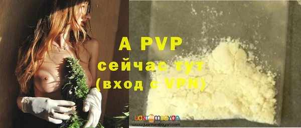 крисы Болохово