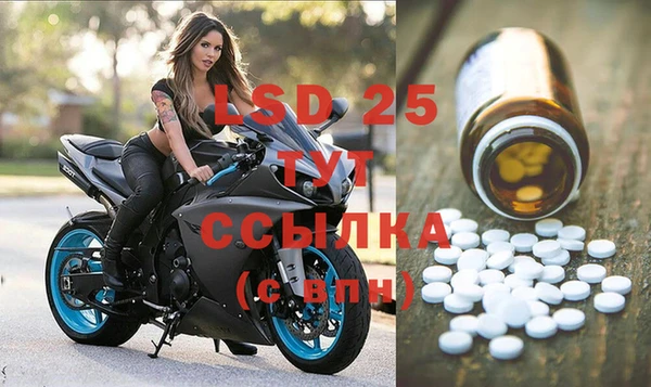 крисы Болохово