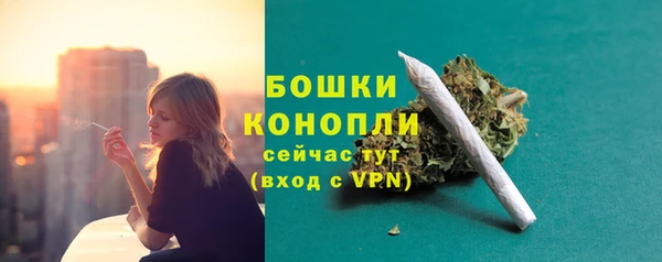 крисы Болохово
