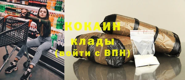 крисы Болохово