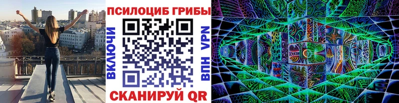 хочу   Инта  блэк спрут вход  Галлюциногенные грибы Psilocybine cubensis 